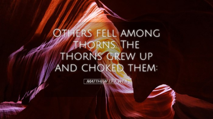 Picture 05 - Matthew 13:7 WEB Desktop Wallpaper - Others fell among thorns. The thorns grew up and - Desktop Bible Verse Wallpaper