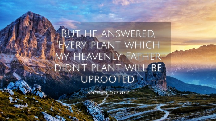 Picture 05 - Matthew 15:13 WEB Desktop Wallpaper - But he answered, 