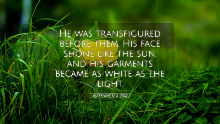 Picture 05 - Matthew 17:2 WEB Desktop Wallpaper - He was transfigured before them. His face shone - Desktop Bible Verse Wallpaper