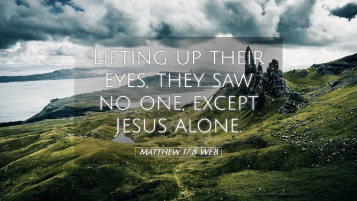 Picture 05 - Matthew 17:8 WEB Desktop Wallpaper - Lifting up their eyes, they saw no one, except - Desktop Bible Verse Wallpaper