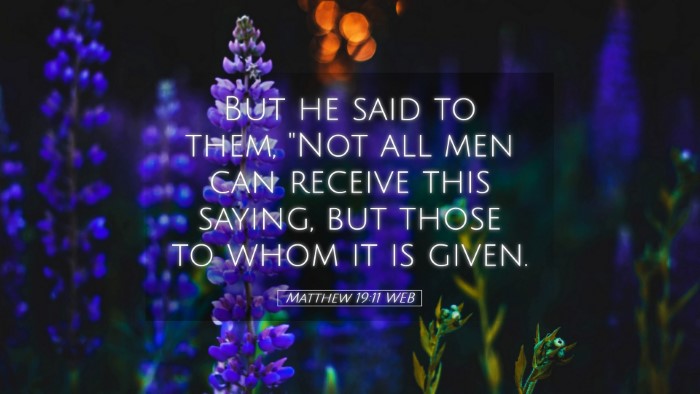 Picture 05 - Matthew 19:11 WEB Desktop Wallpaper - But he said to them, 