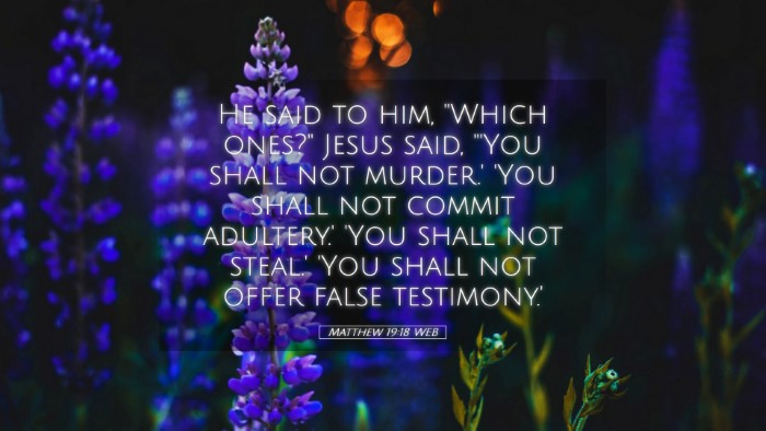 Picture 05 - Matthew 19:18 WEB Desktop Wallpaper - He said to him, 