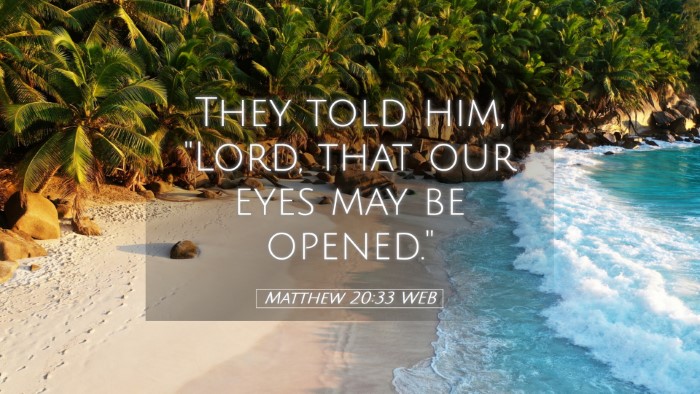Picture 05 - Matthew 20:33 WEB Desktop Wallpaper - They told him, 