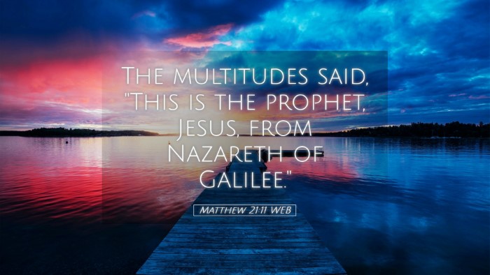 Picture 05 - Matthew 21:11 WEB Desktop Wallpaper - The multitudes said, 