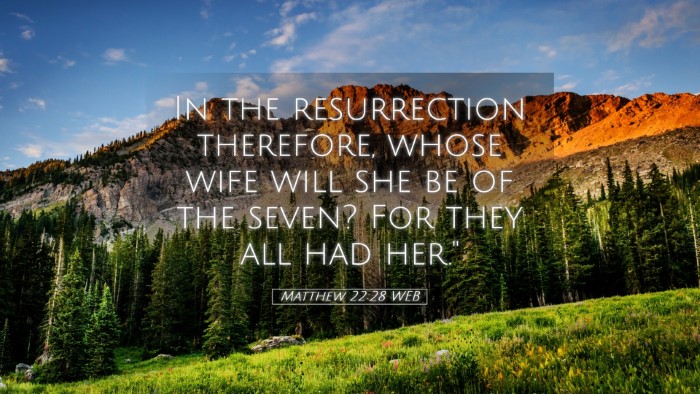 Picture 05 - Matthew 22:28 WEB Desktop Wallpaper - In the resurrection therefore, whose wife will - Desktop Bible Verse Wallpaper