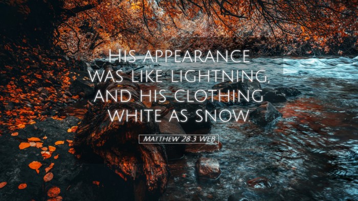 Picture 05 - Matthew 28:3 WEB Desktop Wallpaper - His appearance was like lightning, and his - Desktop Bible Verse Wallpaper