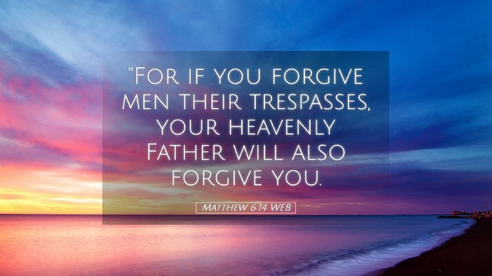 Picture 05 - Matthew 6:14 WEB Desktop Wallpaper - 