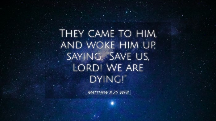 Picture 05 - Matthew 8:25 WEB Desktop Wallpaper - They came to him, and woke him up, saying, 