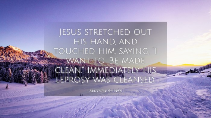 Picture 05 - Matthew 8:3 WEB Desktop Wallpaper - Jesus stretched out his hand, and touched him, - Desktop Bible Verse Wallpaper