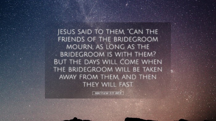 Picture 05 - Matthew 9:15 WEB Desktop Wallpaper - Jesus said to them, 