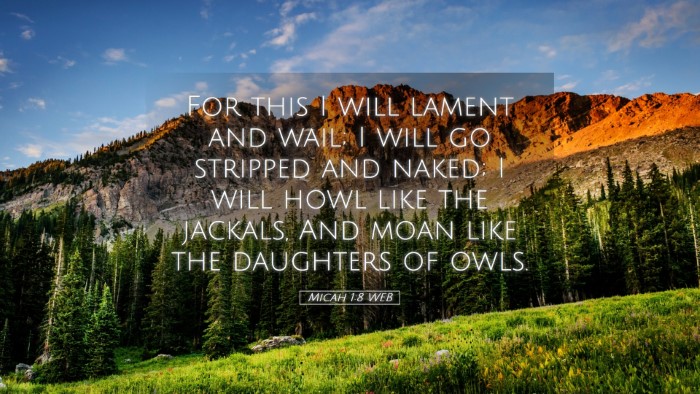 Picture 05 - Micah 1:8 WEB Desktop Wallpaper - For this I will lament and wail; I will go - Desktop Bible Verse Wallpaper