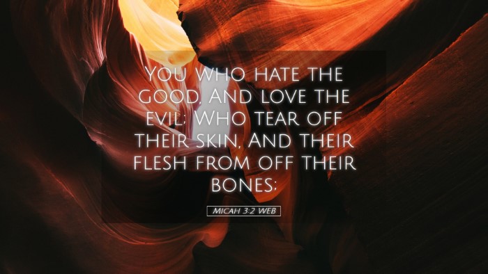 Picture 05 - Micah 3:2 WEB Desktop Wallpaper - You who hate the good, And love the evil; Who - Desktop Bible Verse Wallpaper
