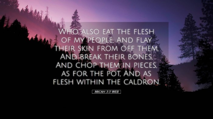 Picture 05 - Micah 3:3 WEB Desktop Wallpaper - Who also eat the flesh of my people, And flay - Desktop Bible Verse Wallpaper