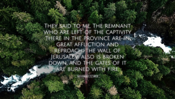 Picture 05 - Nehemiah 1:3 WEB Desktop Wallpaper - They said to me, The remnant who are left of the - Desktop Bible Verse Wallpaper