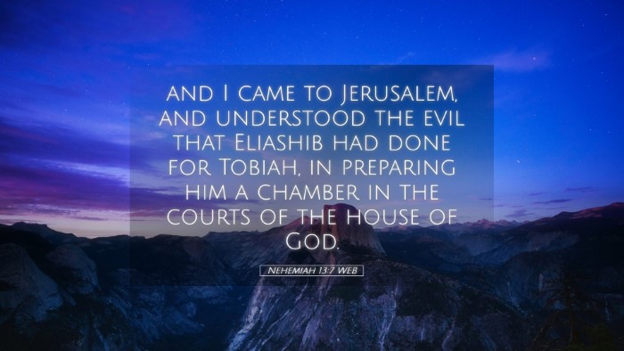 Picture 05 - Nehemiah 13:7 WEB Desktop Wallpaper - and I came to Jerusalem, and understood the evil - Desktop Bible Verse Wallpaper