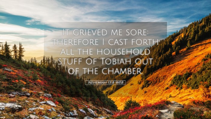 Picture 05 - Nehemiah 13:8 WEB Desktop Wallpaper - It grieved me sore: therefore I cast forth all - Desktop Bible Verse Wallpaper