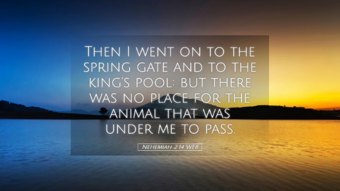 Picture 05 - Nehemiah 2:14 WEB Desktop Wallpaper - Then I went on to the spring gate and to the - Desktop Bible Verse Wallpaper