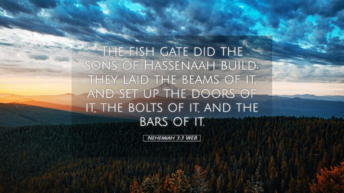 Picture 05 - Nehemiah 3:3 WEB Desktop Wallpaper - The fish gate did the sons of Hassenaah build; - Desktop Bible Verse Wallpaper