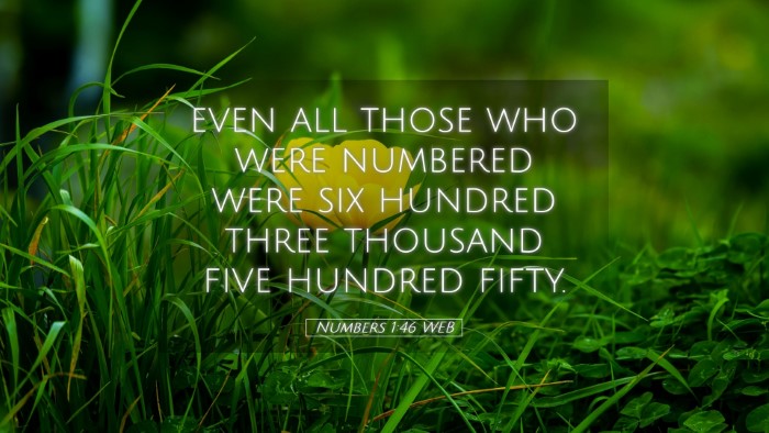Picture 05 - Numbers 1:46 WEB Desktop Wallpaper - even all those who were numbered were six hundred - Desktop Bible Verse Wallpaper