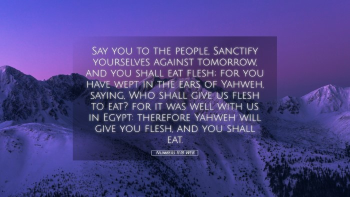 Picture 05 - Numbers 11:18 WEB Desktop Wallpaper - Say you to the people, Sanctify yourselves - Desktop Bible Verse Wallpaper