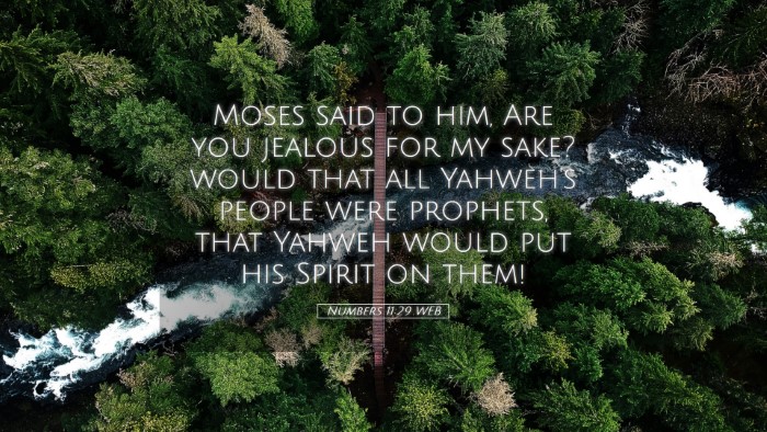 Picture 05 - Numbers 11:29 WEB Desktop Wallpaper - Moses said to him, Are you jealous for my sake? - Desktop Bible Verse Wallpaper