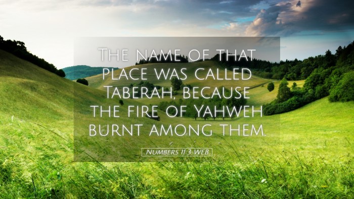 Picture 05 - Numbers 11:3 WEB Desktop Wallpaper - The name of that place was called Taberah, - Desktop Bible Verse Wallpaper