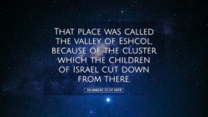 Picture 05 - Numbers 13:24 WEB Desktop Wallpaper - That place was called the valley of Eshcol, - Desktop Bible Verse Wallpaper