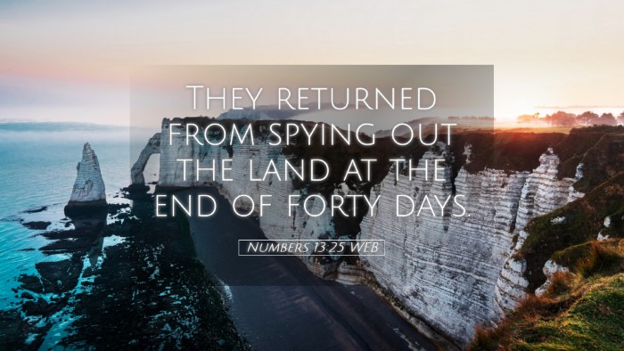 Picture 05 - Numbers 13:25 WEB Desktop Wallpaper - They returned from spying out the land at the end - Desktop Bible Verse Wallpaper