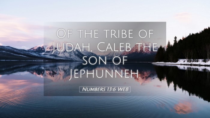 Picture 05 - Numbers 13:6 WEB Desktop Wallpaper - Of the tribe of Judah, Caleb the son of - Desktop Bible Verse Wallpaper