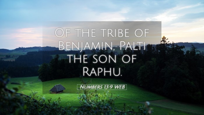 Picture 05 - Numbers 13:9 WEB Desktop Wallpaper - Of the tribe of Benjamin, Palti the son of - Desktop Bible Verse Wallpaper