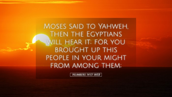 Picture 05 - Numbers 14:13 WEB Desktop Wallpaper - Moses said to Yahweh, Then the Egyptians will - Desktop Bible Verse Wallpaper