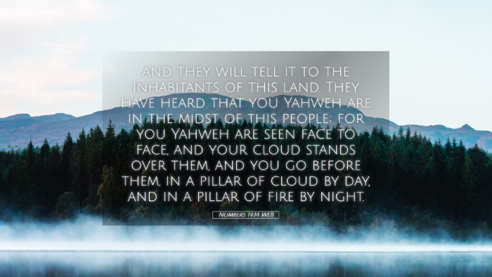 Picture 05 - Numbers 14:14 WEB Desktop Wallpaper - and they will tell it to the inhabitants of this - Desktop Bible Verse Wallpaper