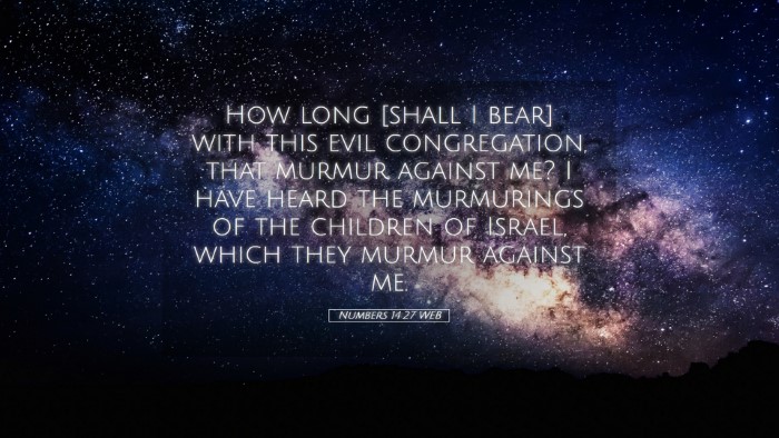Picture 05 - Numbers 14:27 WEB Desktop Wallpaper - How long [shall I bear] with this evil - Desktop Bible Verse Wallpaper