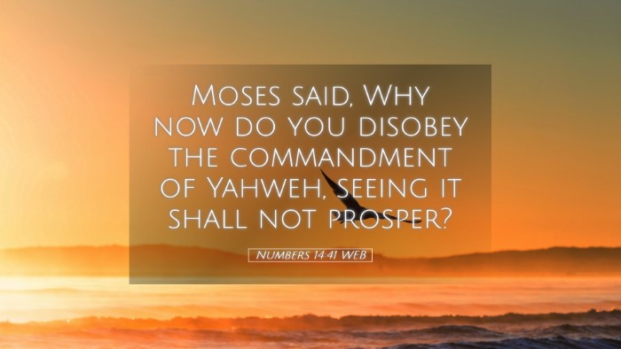 Picture 05 - Numbers 14:41 WEB Desktop Wallpaper - Moses said, Why now do you disobey the - Desktop Bible Verse Wallpaper