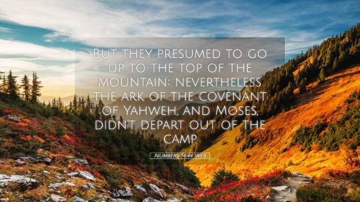 Picture 05 - Numbers 14:44 WEB Desktop Wallpaper - But they presumed to go up to the top of the - Desktop Bible Verse Wallpaper