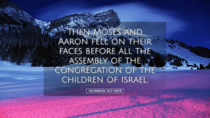 Picture 05 - Numbers 14:5 WEB Desktop Wallpaper - Then Moses and Aaron fell on their faces before - Desktop Bible Verse Wallpaper