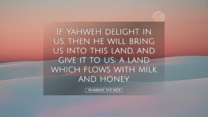 Picture 05 - Numbers 14:8 WEB Desktop Wallpaper - If Yahweh delight in us, then he will bring us - Desktop Bible Verse Wallpaper