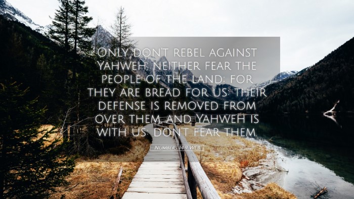 Picture 05 - Numbers 14:9 WEB Desktop Wallpaper - Only don't rebel against Yahweh, neither fear the - Desktop Bible Verse Wallpaper