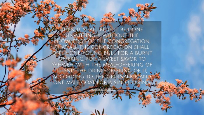 Picture 05 - Numbers 15:24 WEB Desktop Wallpaper - then it shall be, if it be done unwittingly, - Desktop Bible Verse Wallpaper