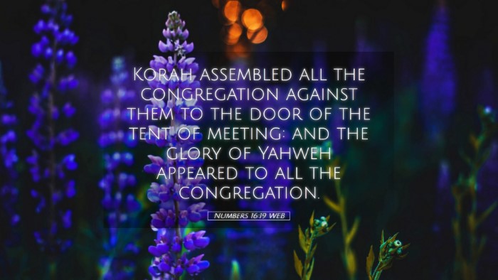 Picture 05 - Numbers 16:19 WEB Desktop Wallpaper - Korah assembled all the congregation against them - Desktop Bible Verse Wallpaper