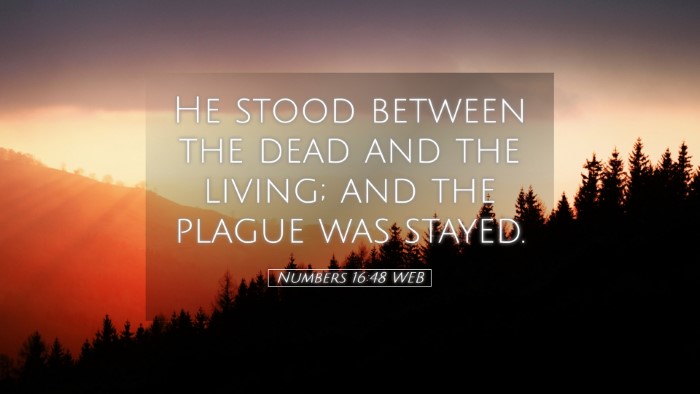 Picture 05 - Numbers 16:48 WEB Desktop Wallpaper - He stood between the dead and the living; and the - Desktop Bible Verse Wallpaper