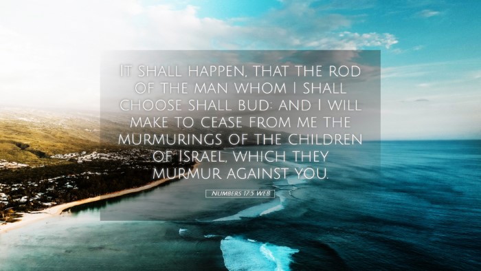 Picture 05 - Numbers 17:5 WEB Desktop Wallpaper - It shall happen, that the rod of the man whom I - Desktop Bible Verse Wallpaper
