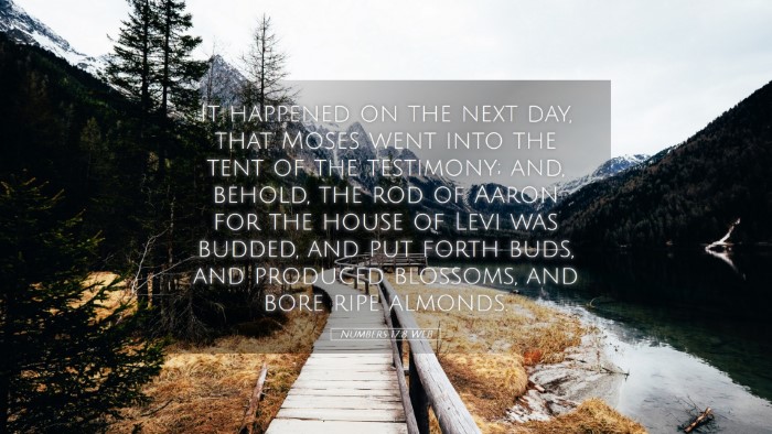 Picture 05 - Numbers 17:8 WEB Desktop Wallpaper - It happened on the next day, that Moses went into - Desktop Bible Verse Wallpaper