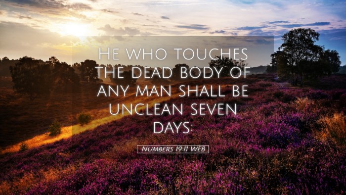 Picture 05 - Numbers 19:11 WEB Desktop Wallpaper - He who touches the dead body of any man shall be - Desktop Bible Verse Wallpaper