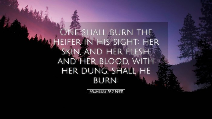 Picture 05 - Numbers 19:5 WEB Desktop Wallpaper - One shall burn the heifer in his sight; her skin, - Desktop Bible Verse Wallpaper