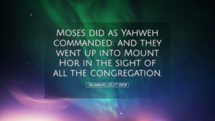 Picture 05 - Numbers 20:27 WEB Desktop Wallpaper - Moses did as Yahweh commanded: and they went up - Desktop Bible Verse Wallpaper