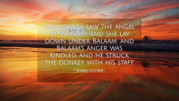 Picture 05 - Numbers 22:27 WEB Desktop Wallpaper - The donkey saw the angel of Yahweh, and she lay - Desktop Bible Verse Wallpaper