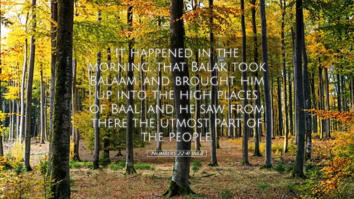Picture 05 - Numbers 22:41 WEB Desktop Wallpaper - It happened in the morning, that Balak took - Desktop Bible Verse Wallpaper