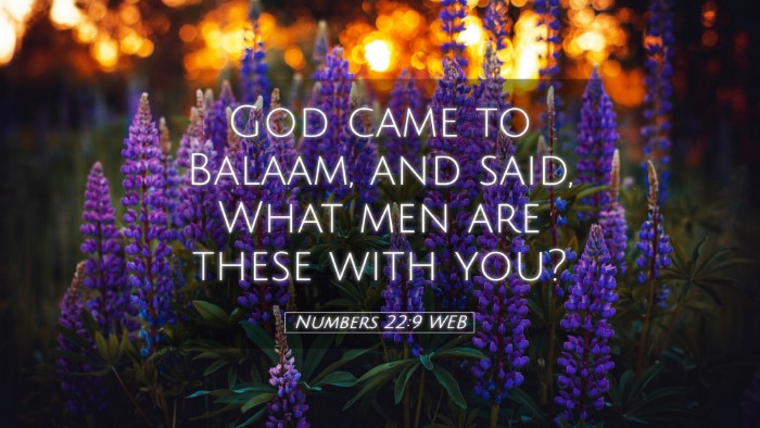 Picture 05 - Numbers 22:9 WEB Desktop Wallpaper - God came to Balaam, and said, What men are these - Desktop Bible Verse Wallpaper