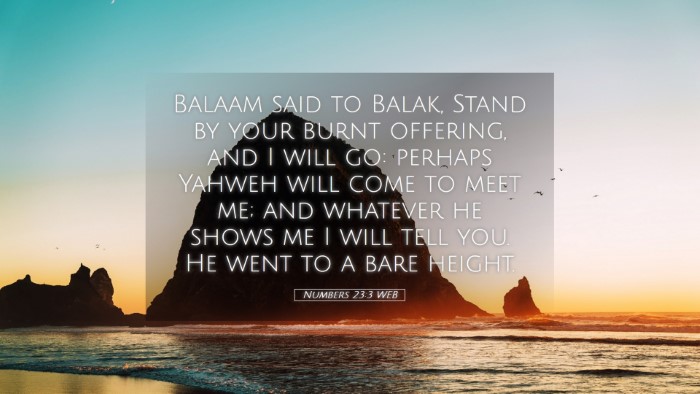 Picture 05 - Numbers 23:3 WEB Desktop Wallpaper - Balaam said to Balak, Stand by your burnt - Desktop Bible Verse Wallpaper
